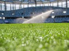 冯耀恩望与,郭勇携手挑,战世界第一,万博manbetx体育平台,万博体育官网,万博体育app下载,ManBetX,SPORTS