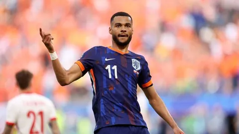 万博manbetx体育平台